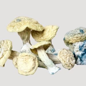 Clockwork Orange Magic Mushrooms