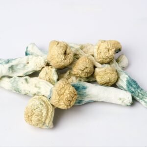 Platinum Gates Magic Mushrooms