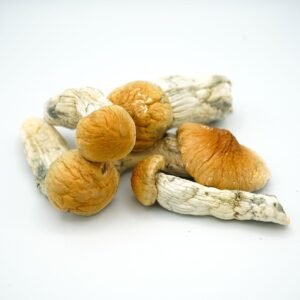 Hillbilly Magic Mushrooms