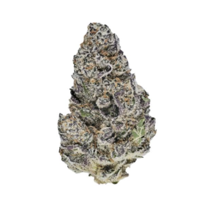 Blue Lobster Smalls | Hybrid