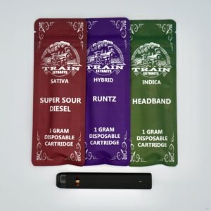 Train Extracts 1g Resin Disposable Vape Cart
