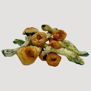 Tsunami Crest Magic Mushrooms