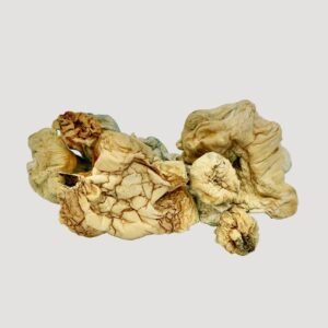 White Wizard Magic Mushrooms