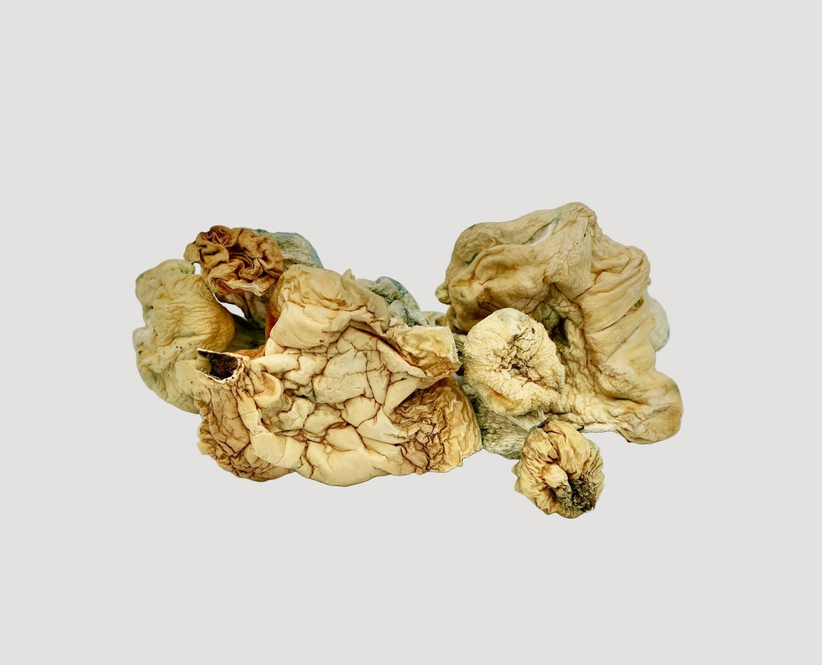 White Wizard Magic Mushrooms